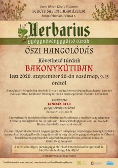 Őszi hangolódás - Bakonykútiban gyűjthetünk bogyókat és gyógynövényeket